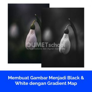 Membuat Gambar Menjadi Black & White dengan Gradient Map