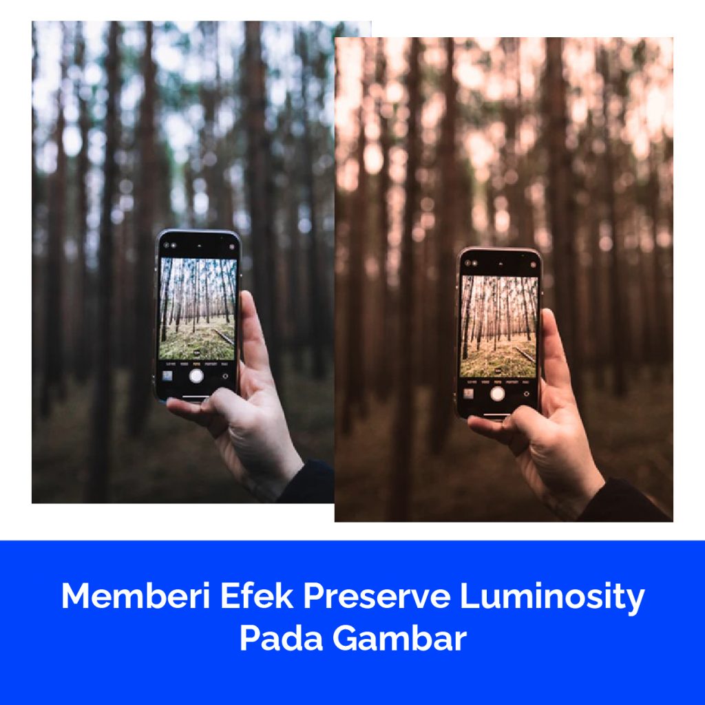 Memberi Efek Preserve Luminosity Pada Gambar
