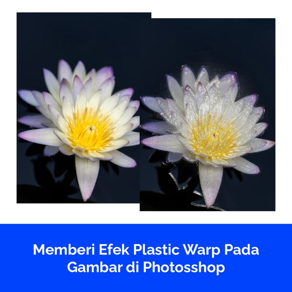 Memberi Efek Plastic Warp Pada Gambar di Photosshop