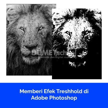 Memberi Efek Threshold di Adobe Photoshop