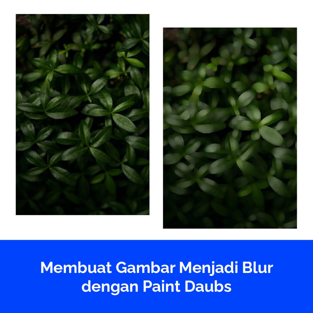 Membuat Gambar Menjadi Blur dengan Paint Daubs
