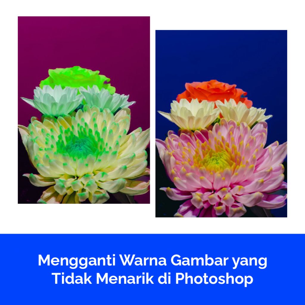 Mengganti Warna Gambar yang Tidak Menarik di Photoshop