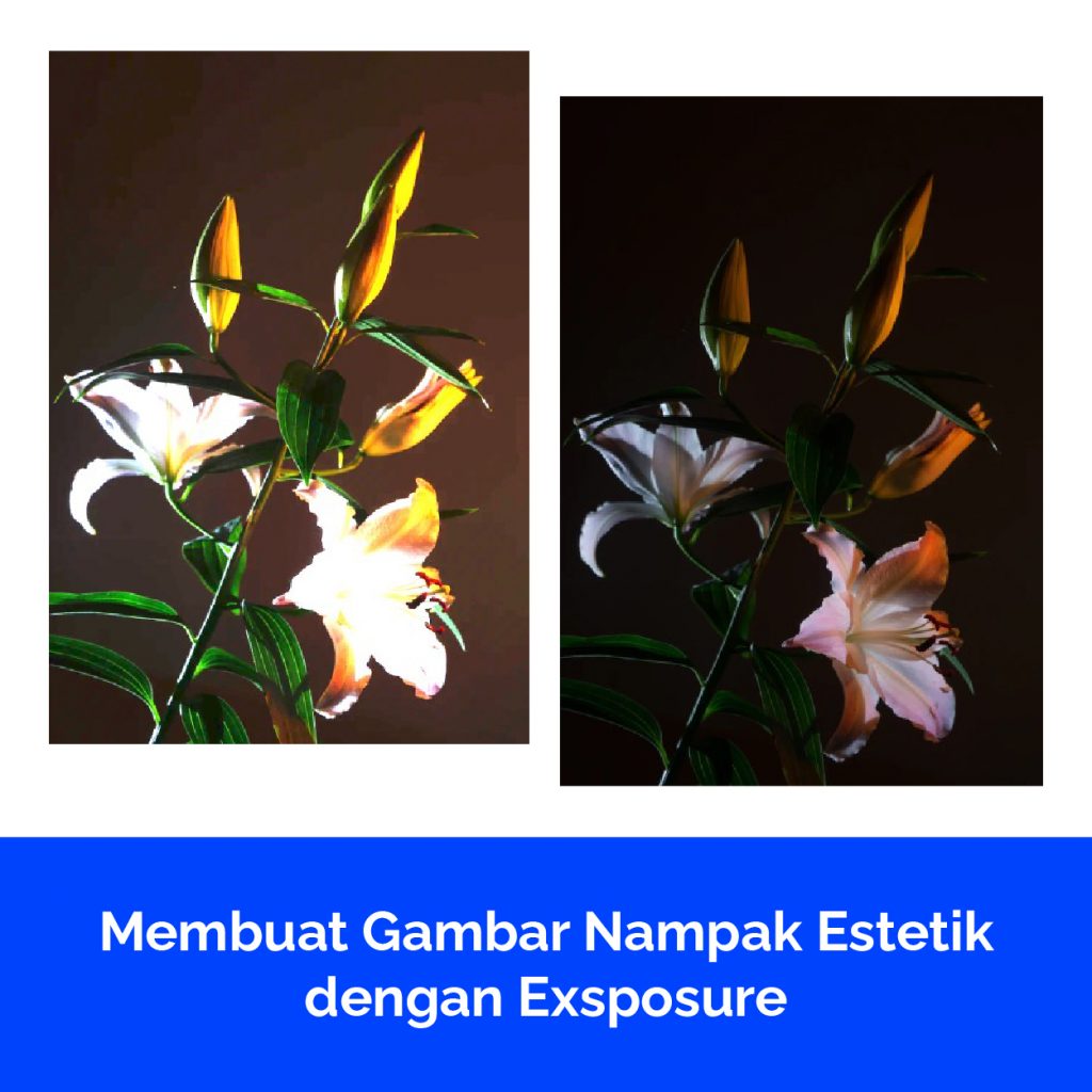 Membuat Gambar Nampak Estetik dengan Exsposure