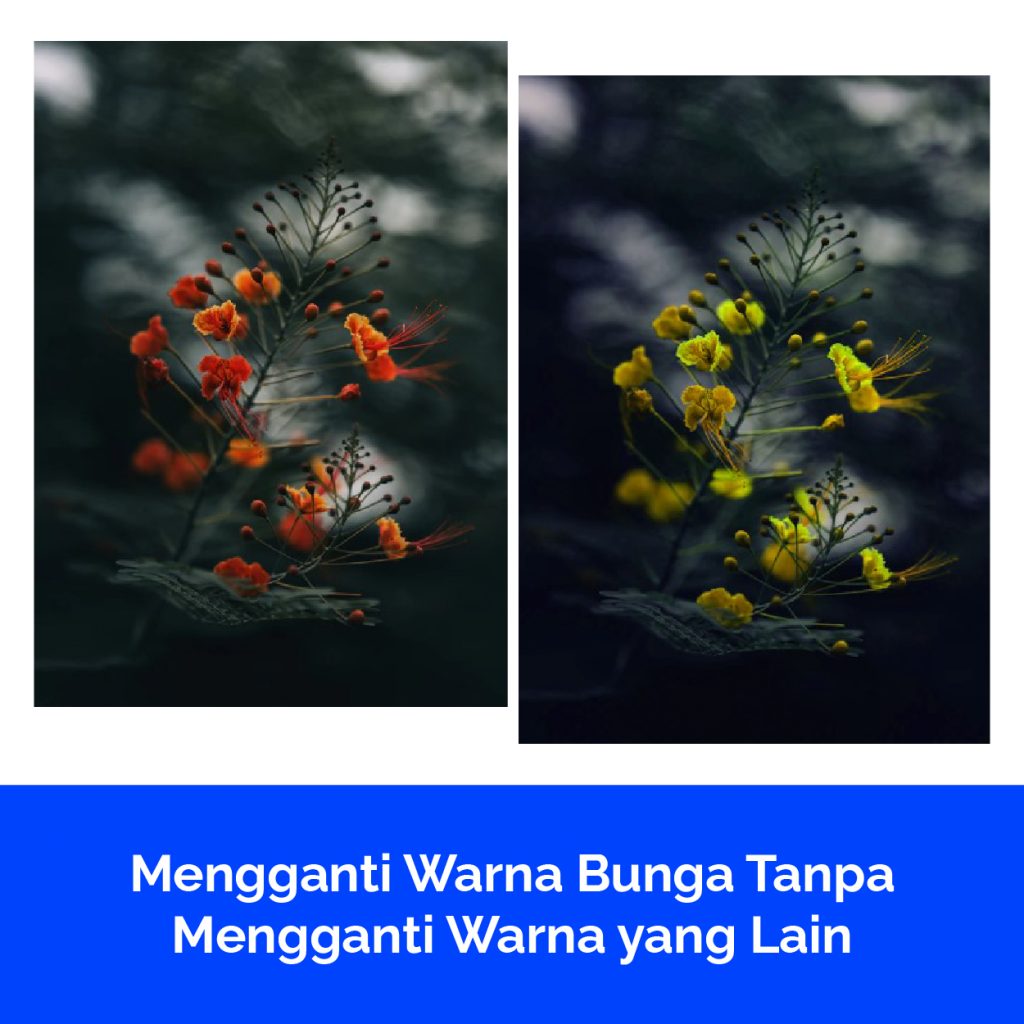 Mengganti Warna Bunga Tanpa Mengganti Warna yang Lain