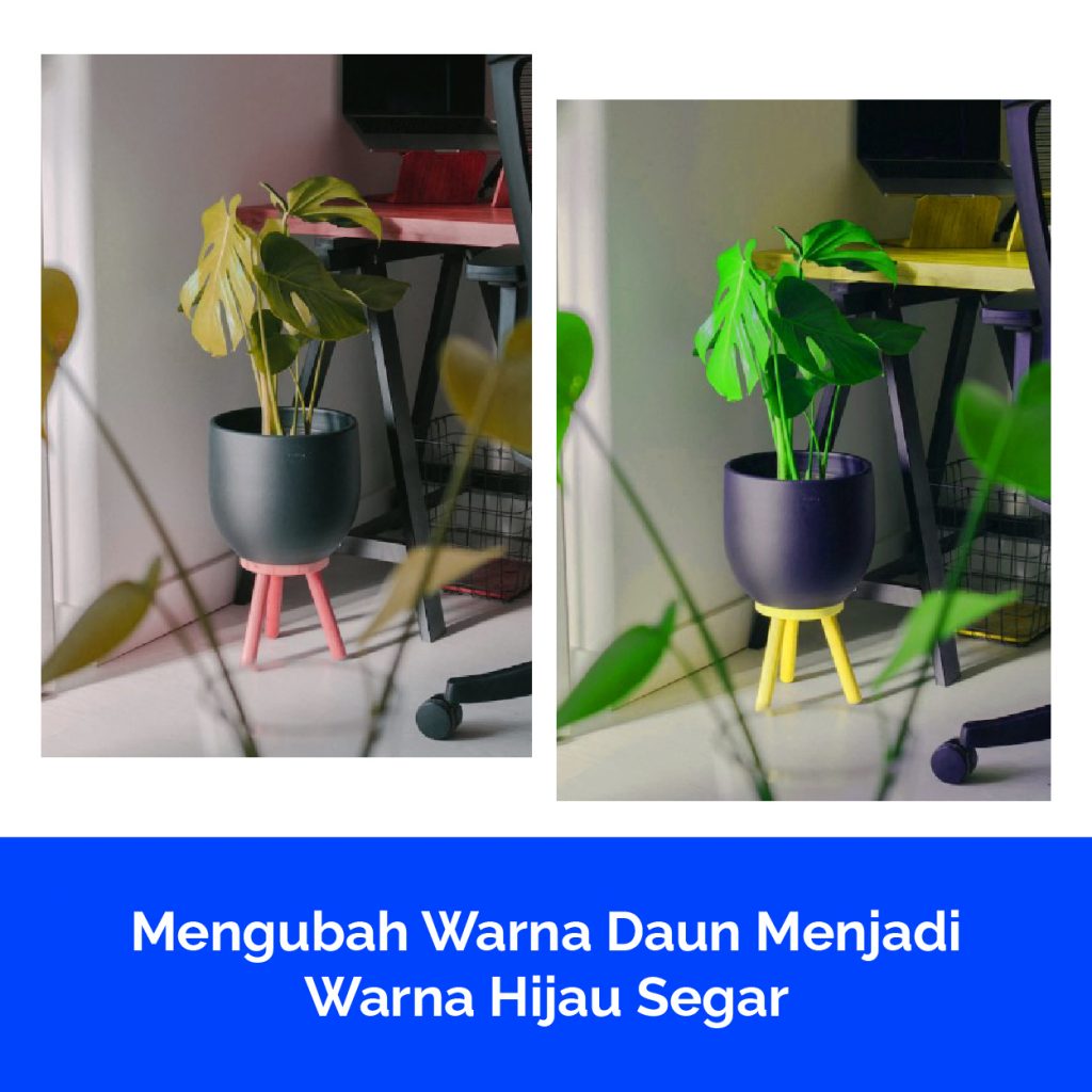Mengubah Warna Daun Menjadi Warna Hijau Segar