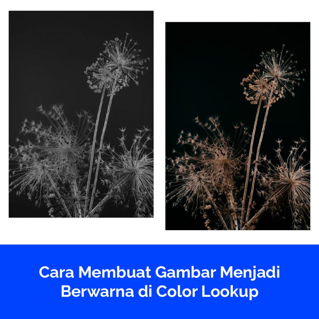 Cara Membuat Gambar Menjadi Berwarna di Color Lookup