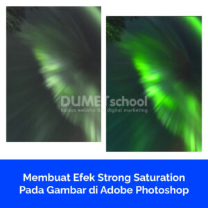 Membuat Efek Strong Saturation Pada Gambar di Adobe Photoshop