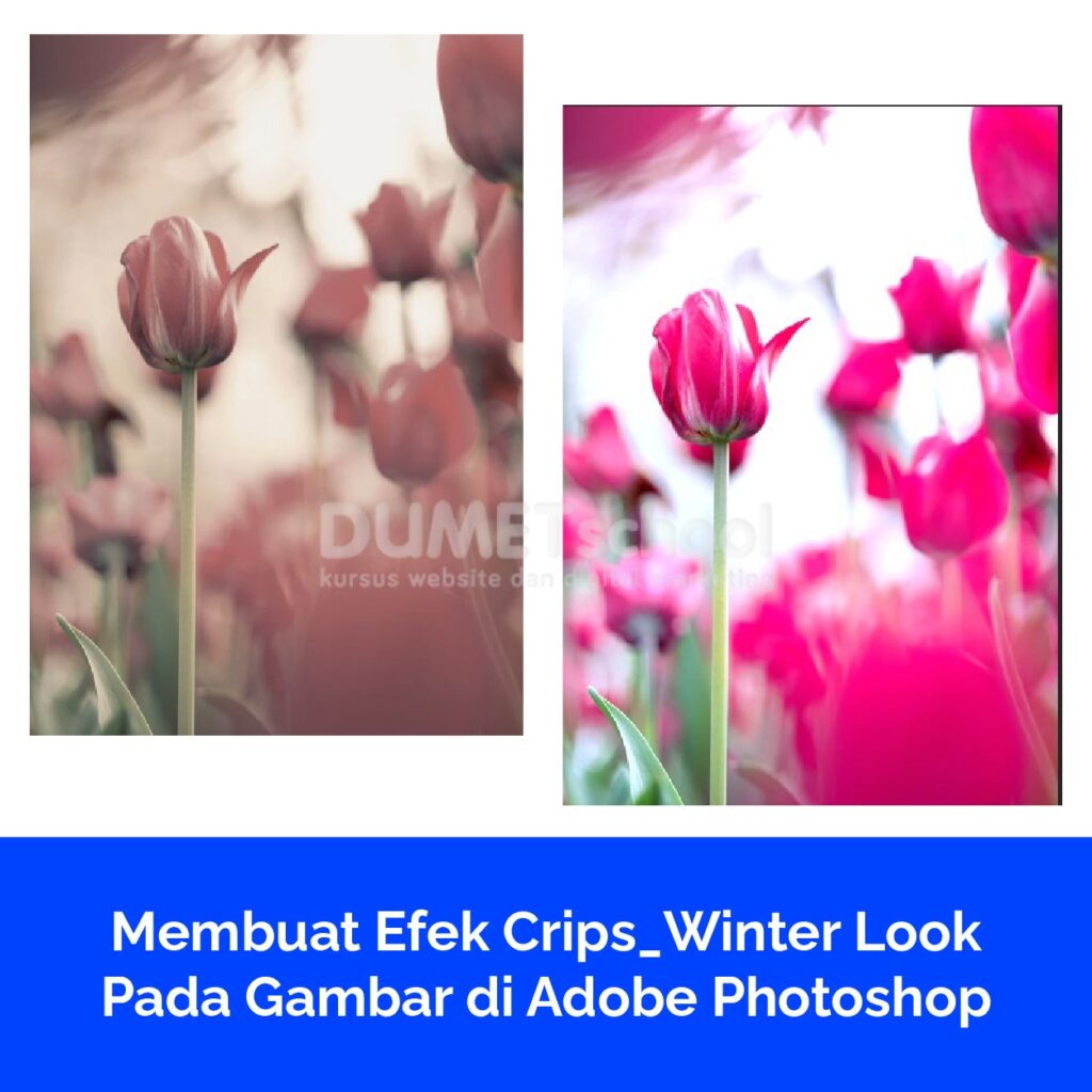 Membuat Efek Crips_Winter Look Pada Gambar di Adobe Photoshop