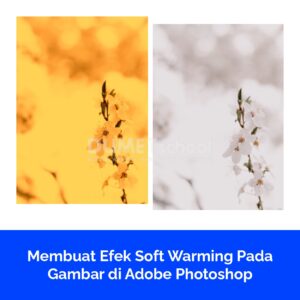 Membuat Efek Soft Warming Pada Gambar di Adobe Photoshop