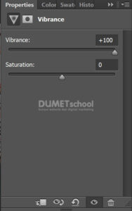 Membuat Gambar Berwarna dengan Vibrance di Adobe Photoshop