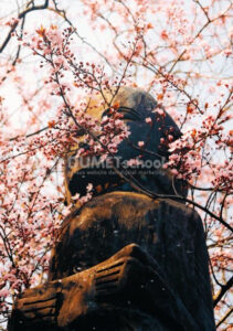 Membuat Gambar Berwarna dengan Vibrance di Adobe Photoshop