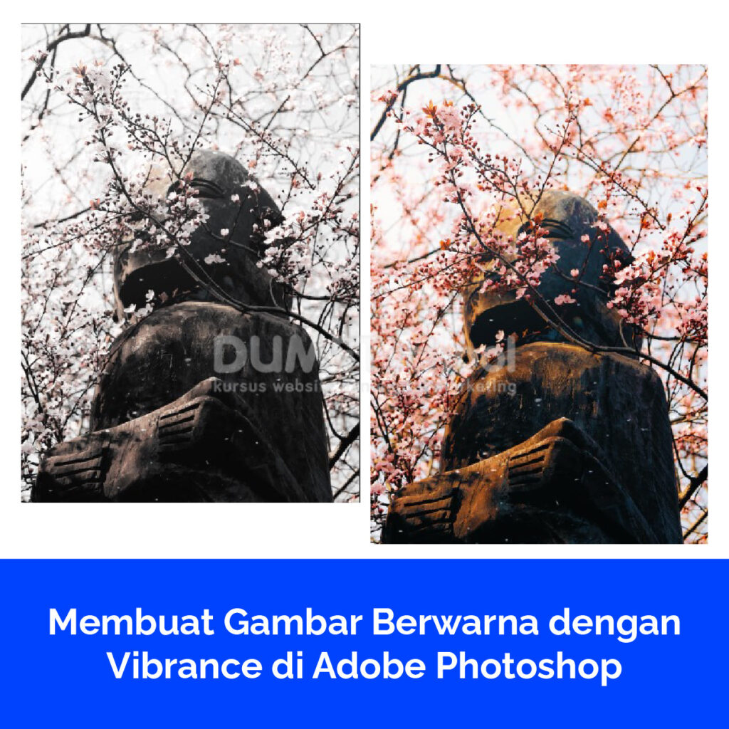 Membuat Gambar Berwarna dengan Vibrance di Adobe Photoshop