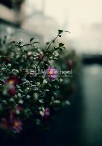 Memberi Efek Teal Orange Plus Contrast Pada Gambar