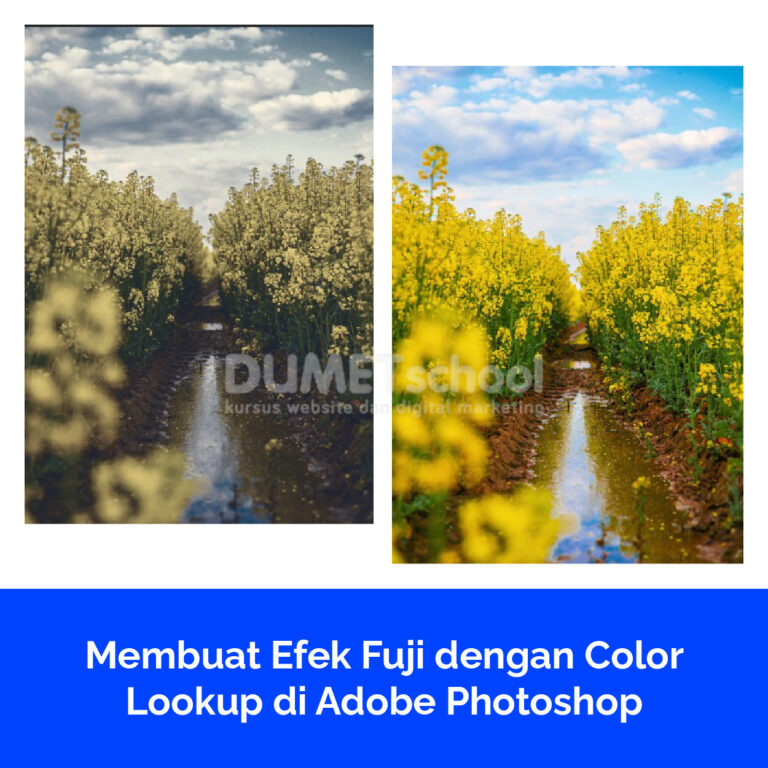 Membuat Efek Fuji dengan Color Lookup di Adobe Photoshop