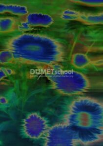 Membuat Efek Solarize Pada Gambar di Adobe Photoshop