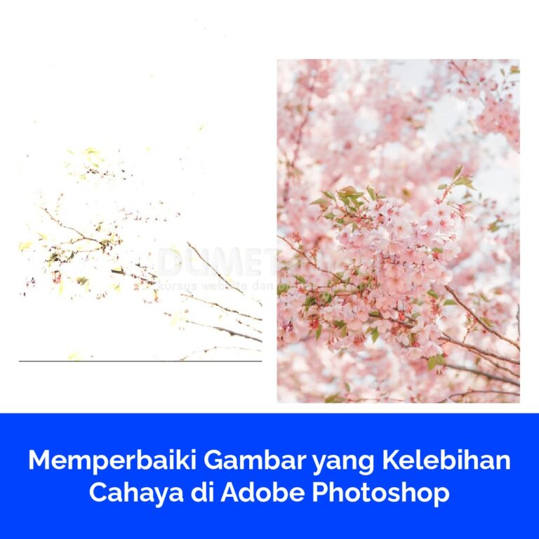 Memperbaiki Gambar yang Kelebihan Cahaya di Adobe Photoshop