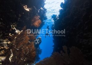 Menambahkan Cahaya di Bawah Laut dengan Adobe Photoshop