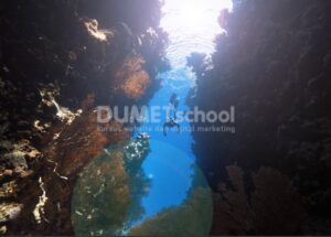 Menambahkan Cahaya di Bawah Laut dengan Adobe Photoshop