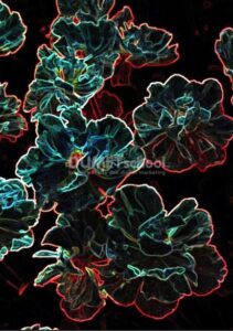 Menambahkan Efek Glowing Edges di Adobe Photoshop
