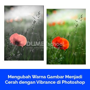 Mengubah Warna Gambar Menjadi Cerah dengan Vibrance di Photoshop