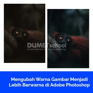 Mengubah Warna Gambar Menjadi Lebih Berwarna di Adobe Photoshop