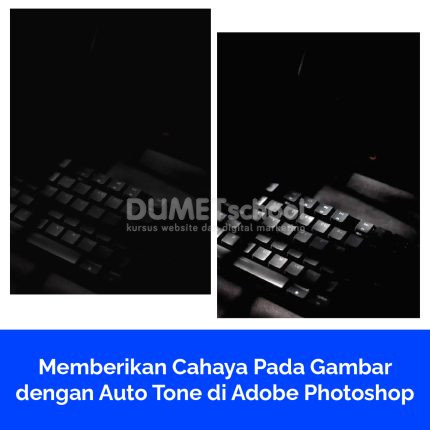 Memberikan Cahaya Pada Gambar dengan Auto Tone di Adobe Photoshop
