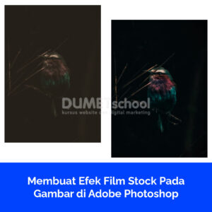 Membuat Efek Film Stock Pada Gambar di Adobe Photoshop
