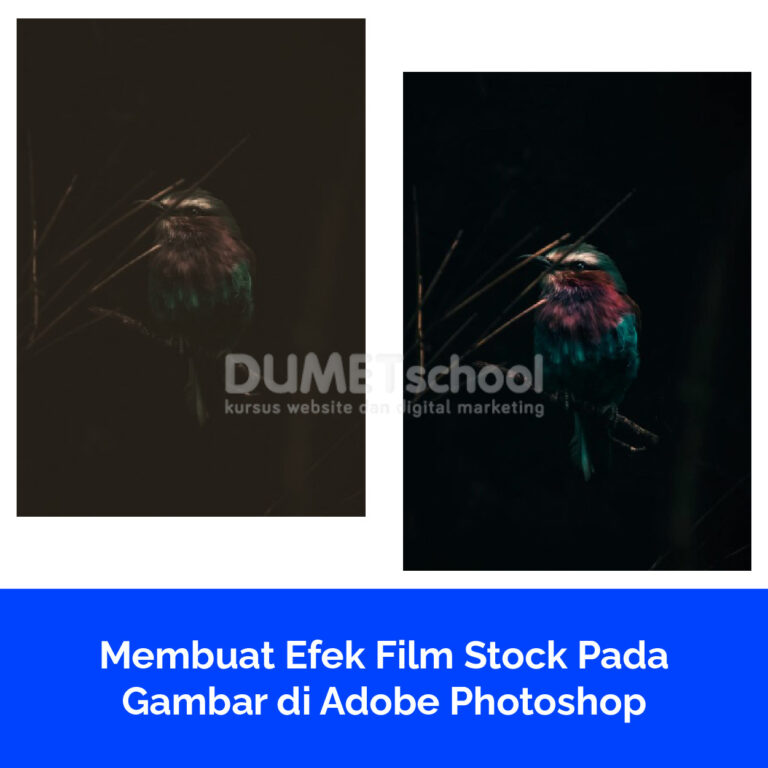 Membuat Efek Film Stock Pada Gambar di Adobe Photoshop