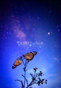 Membuat Warna Langit Menjadi Biru Hanya dengan Color Lookup di Photoshop