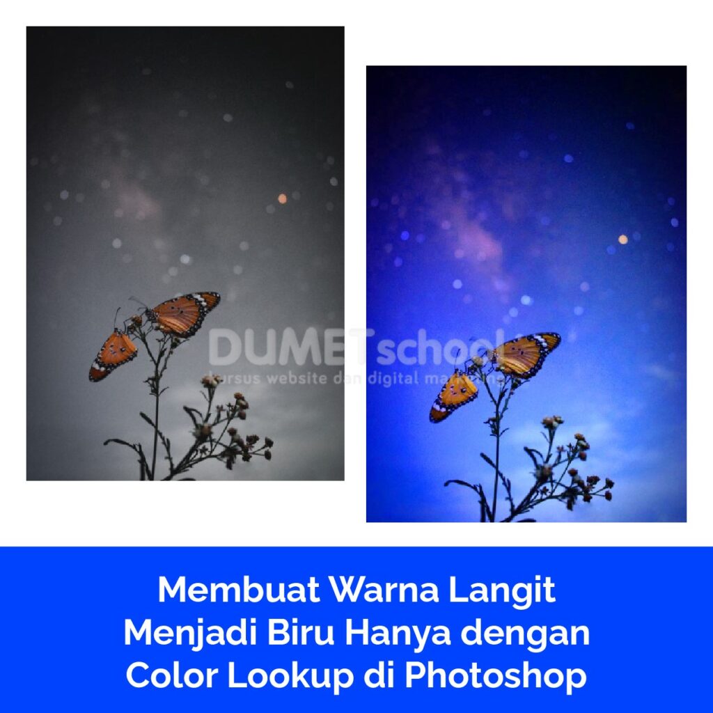 Membuat Warna Langit Menjadi Biru Hanya dengan Color Lookup di Photoshop