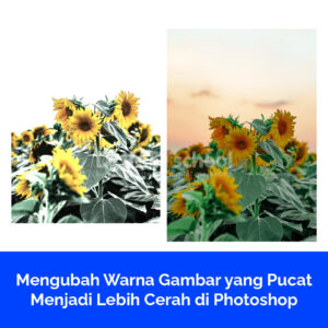 Mengubah Warna Gambar yang Pucat Menjadi Lebih Cerah di Photoshop