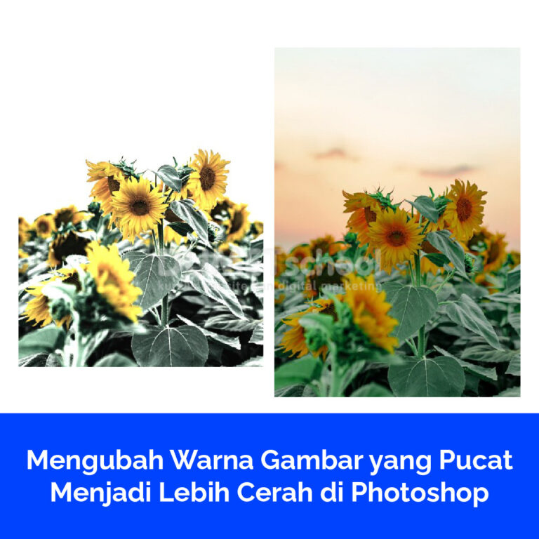 Mengubah Warna Gambar yang Pucat Menjadi Lebih Cerah di Photoshop