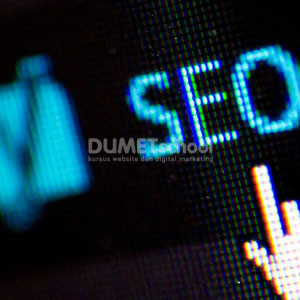 tool seo gratis