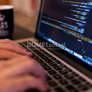 belajar programming gratis