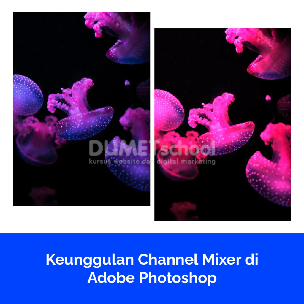 Keunggulan Channel Mixer di Adobe Photoshop