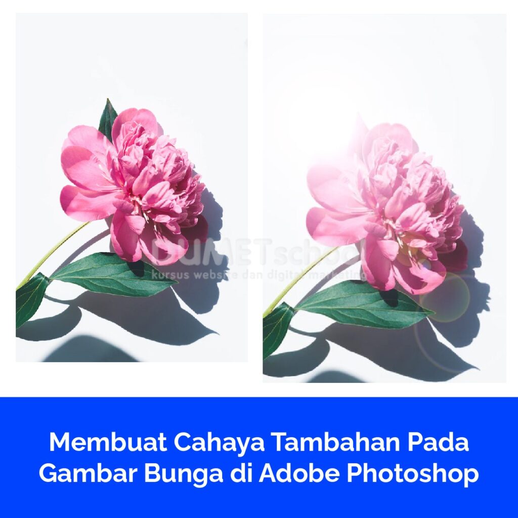 Membuat Cahaya Tambahan Pada Gambar Bunga di Adobe Photoshop