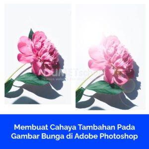 Membuat Cahaya Tambahan Pada Gambar Bunga di Adobe Photoshop