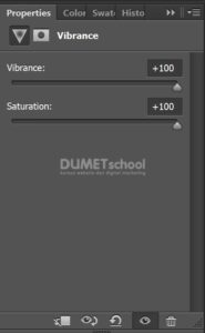 Membuat Gambar Tampak Berwarna dengan Vibrance di Adobe Photoshop