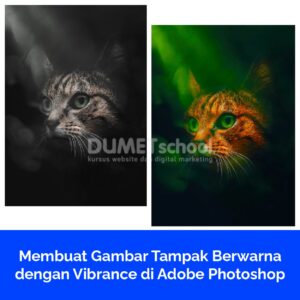 Membuat Gambar Tampak Berwarna dengan Vibrance di Adobe Photoshop