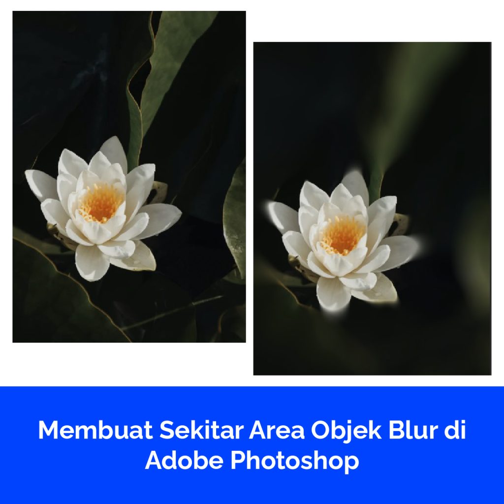 Membuat Sekitar Area Objek Blur di Adobe Photoshop