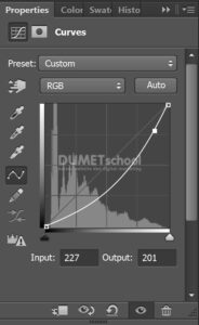 Memperbaiki Warna Gambar dengan Curves di Adobe Photosop