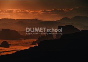 Memperbaiki Warna Gambar dengan Curves di Adobe Photosop