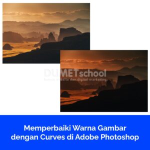 Memperbaiki Warna Gambar dengan Curves di Adobe Photosop