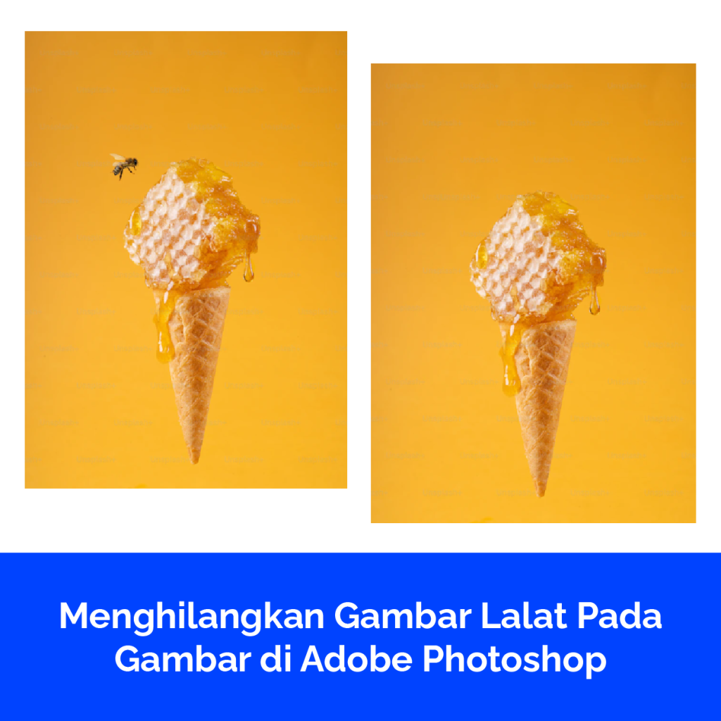 Menghilangkan Gambar Lalat Pada Gambar di Adobe Photoshop