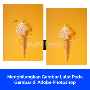 Menghilangkan Gambar Lalat Pada Gambar di Adobe Photoshop
