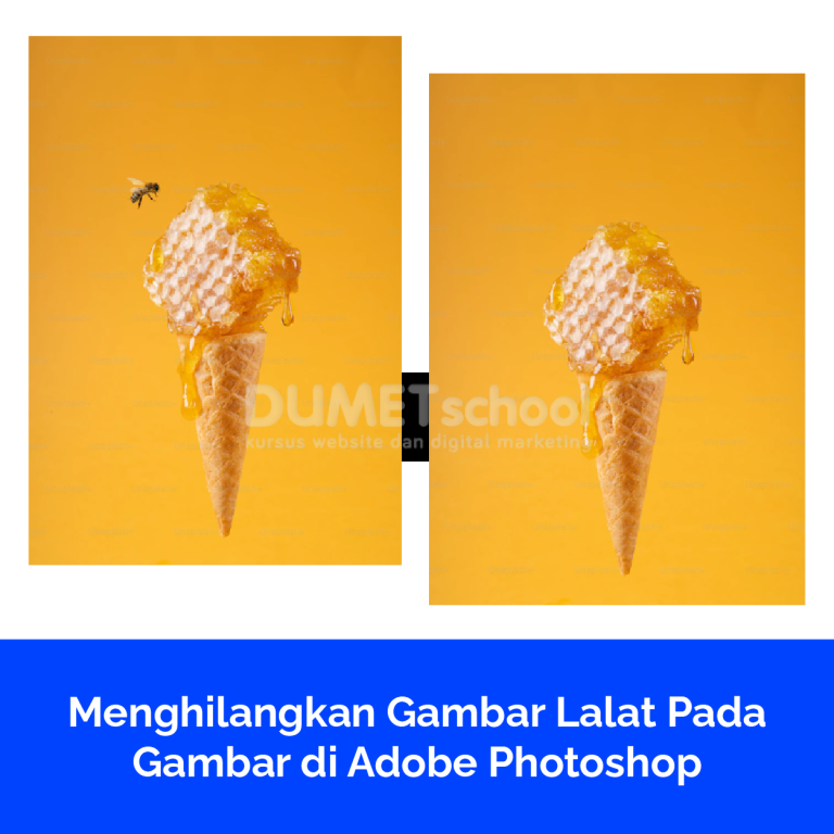 Menghilangkan Gambar Lalat Pada Gambar di Adobe Photoshop