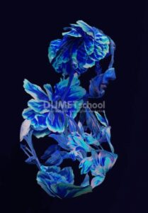 Mengubah Warna Pada Gambar dalam Hitungan Detik di Adobe Photoshop