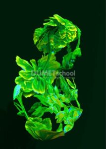Mengubah Warna Pada Gambar dalam Hitungan Detik di Adobe Photoshop