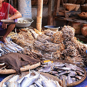 tips seo penjual ikan