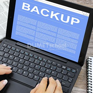 cara backup wordpress